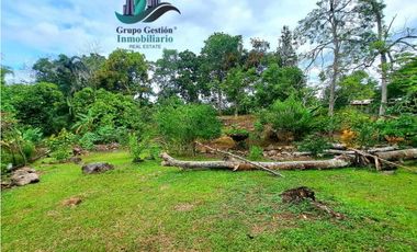 LOTE HABITACIONAL/COMERCIAL ENTRE BUGABA Y LA FRONTERA