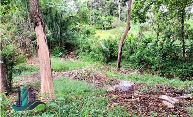 LOTE HABITACIONAL/COMERCIAL ENTRE BUGABA Y LA FRONTERA