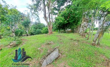LOTE HABITACIONAL/COMERCIAL ENTRE BUGABA Y LA FRONTERA