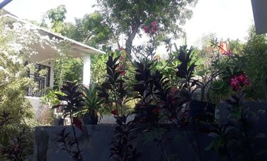 Jual Villa Mewah Aktif di Daerah Banjar Buleleng Bali Sangat Strategis