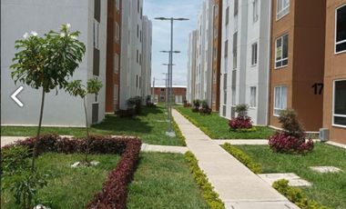 apartamento en venta en terranova. Cod V116813