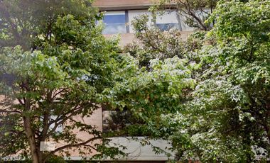 apartaestudio en arriendo en los rosales. Cod A316