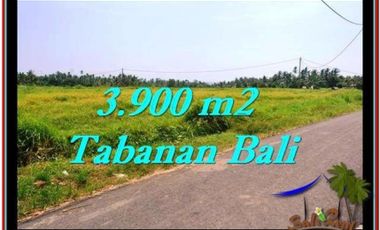 3.900 m2 View sawah&laut Hanya 650 rb/m di Tabanan Selemadeg