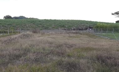 LOTE EN VENTA EN SECTOR COMBIA/PEREIRA