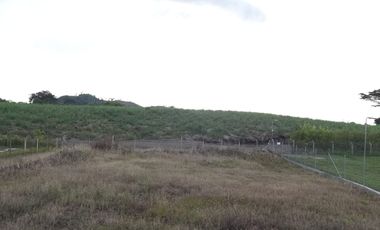 LOTE EN VENTA EN SECTOR COMBIA/PEREIRA