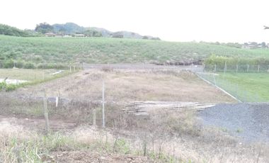 LOTE EN VENTA EN SECTOR COMBIA/PEREIRA