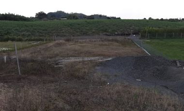 LOTE EN VENTA EN SECTOR COMBIA/PEREIRA