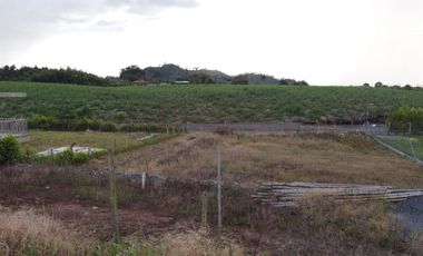 LOTE EN VENTA EN SECTOR COMBIA/PEREIRA