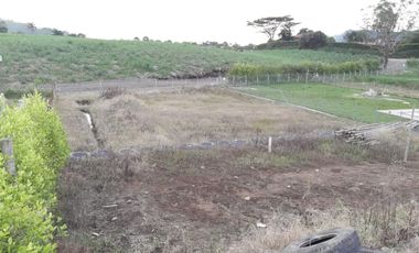 LOTE EN VENTA EN SECTOR COMBIA/PEREIRA