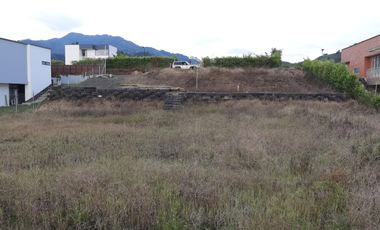 LOTE EN VENTA EN SECTOR COMBIA/PEREIRA