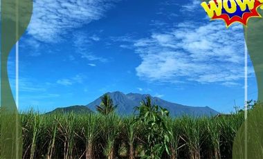 Rumah Murah Dijual Di Malang Tipe 36 Free Biaya