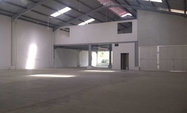 ALQUILER GALERA FELIPILLO