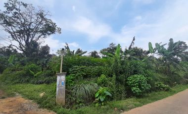 Dijual cepat Tanah kebun luas cocok untuk vila atau perumahan minimalis kluster | Letak di perbatasan kota Bandung