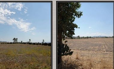 TERRENO VENTA POLOTITLAN 2,000 HECTAREAS
