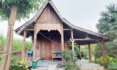 Dijual Tanah dan Rumah Joglo Antik Dekat IAIN Kediri