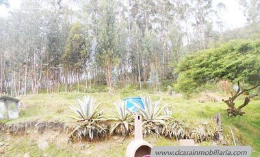 Quinta de Venta – Paute – Huertos Uzupud – 2500m2*  Terreno (Q-115)