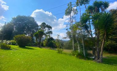 FINCA PARA VENTA EN GUARNE SECTOR VEREDA LA CLARITA