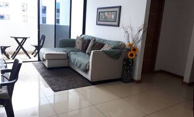 ALQUILER APARTAMENTO CONDADO DEL REY