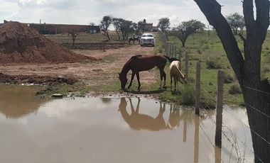 VENTA DE GRANJA CON HACIENDA EN EL SOYATAL AGUASCALIENTES (LUCY)