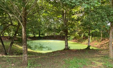 finca en venta en san estanislao. Cod V16522