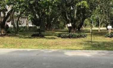 Best Deal RUSH SALE SAN LORENZO VILLAGE Makati House and Lot