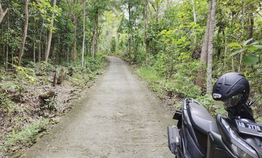 TANAH LUAS 7 HEKTAR DI ARGOMULYO SEDAYU BANTUL