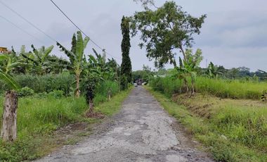 TANAH LUAS 7 HEKTAR DI ARGOMULYO SEDAYU BANTUL