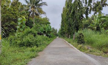 TANAH LUAS 7 HEKTAR DI ARGOMULYO SEDAYU BANTUL