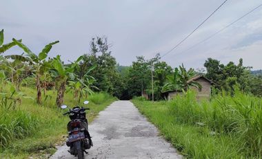 TANAH LUAS 7 HEKTAR DI ARGOMULYO SEDAYU BANTUL
