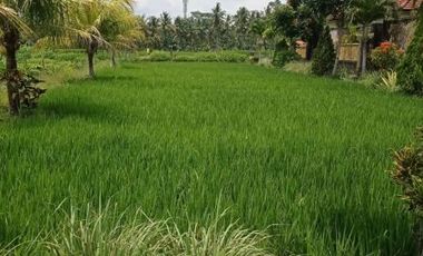 DIJUAL VILLA MEWAH 4 KAMAR DEKAT PASAR SENI, HARGA MURAH