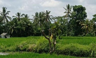 DIJUAL VILLA MEWAH 4 KAMAR DEKAT PASAR SENI, HARGA MURAH