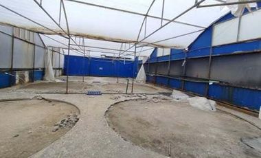 VENTA TERRENO  CON INFRAESTRUCTURA DE LABORATORIO DE LARVAS MAR BRAVO (CMC)