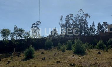 ¡OPORTUNIDAD ÚNICA DE INVERSIÓN EN GUARANDA! AMPLIO TERRENO MULTIUSOS A SOLO 10 MINUTOS DEL CENTRO 💎