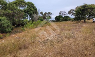 Sitio en Venta en Condominio Las Mostazas