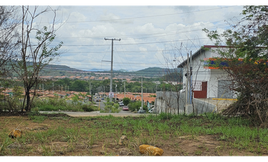 Se Vende Terreno Comercial de 5000 mt2 Panamá Oeste