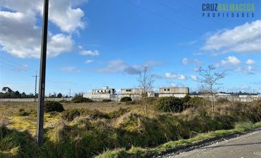 Parcela en Venta en Terreno de 20.000 m2 en Alto Bonito