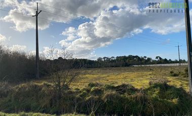 Parcela en Venta en Terreno de 20.000 m2 en Alto Bonito