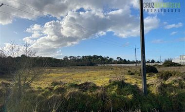 Parcela en Venta en Terreno de 20.000 m2 en Alto Bonito