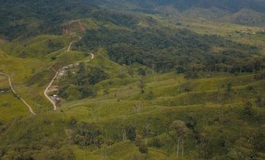 Vendo finca ganadera en Paquisha