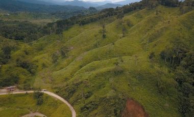 Vendo finca ganadera en Paquisha