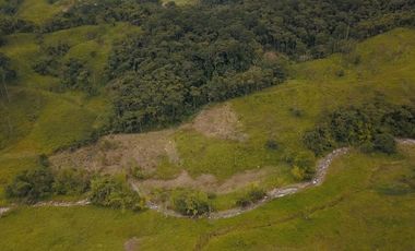 Vendo finca ganadera en Paquisha