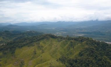 Vendo finca ganadera en Paquisha