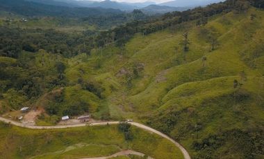 Vendo finca ganadera en Paquisha