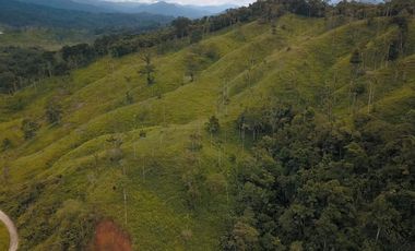 Vendo finca ganadera en Paquisha