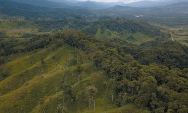 Vendo finca ganadera en Paquisha