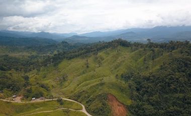 Vendo finca ganadera en Paquisha