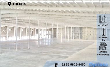 Rent industrial property, Toluca area