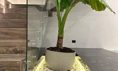 CASA EN RENTA EN COTO AL NORTE AGUASCALIENTES