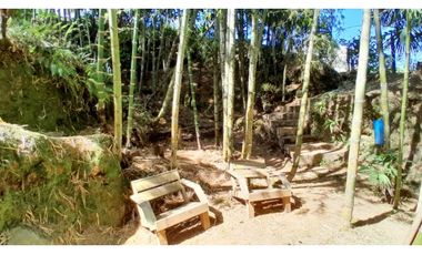 VENTA FINCA EN VENECIA , SUROESTE DE ANTIOQUIA