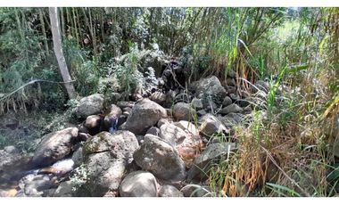 VENTA FINCA EN VENECIA , SUROESTE DE ANTIOQUIA